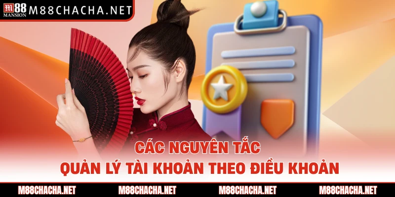 Các nguyên tắc quản lý tài khoản theo điều khoản