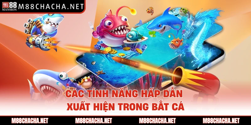 Các tính năng hấp dẫn xuất hiện trong bắt cá