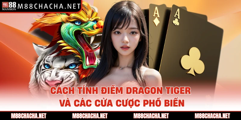 Cách tính điểm Dragon Tiger và các cửa cược phổ biến