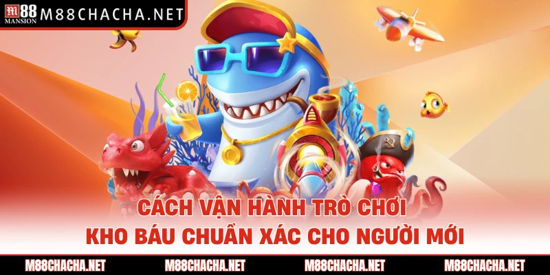 Cách vận hành trò chơi Kho báu chuẩn xác cho người mới