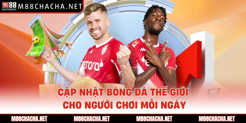 Cập nhật bóng đá thế giới cho người chơi mỗi ngày 