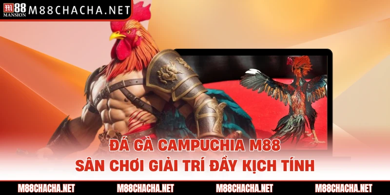 Đá Gà Campuchia M88 - Sân Chơi Giải Trí Đầy Kịch Tính