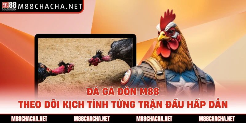 Đá Gà Đòn M88 - Theo Dõi Kịch Tính Từng Trận Đấu Hấp Dẫn