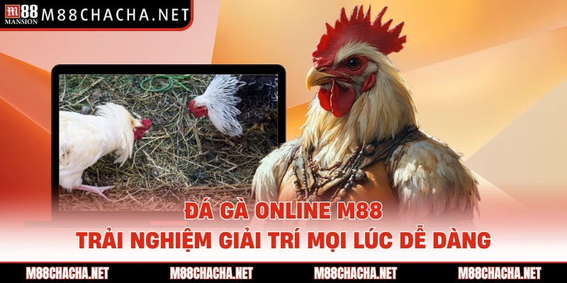 Đá Gà Online M88 - Trải Nghiệm Giải Trí Mọi Lúc Dễ Dàng