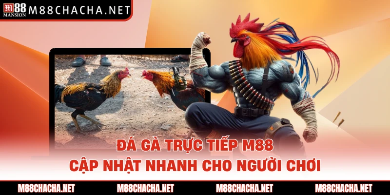Đá Gà Trực Tiếp M88 - Cập Nhật Nhanh Cho Người Chơi