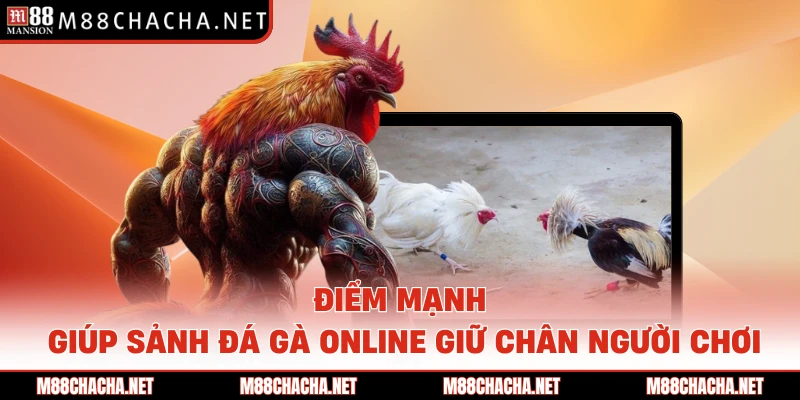 Điểm mạnh giúp sảnh đá gà online giữ chân người chơi 