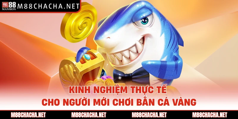 Kinh nghiệm thực tế cho người mới chơi bắn cá Vàng