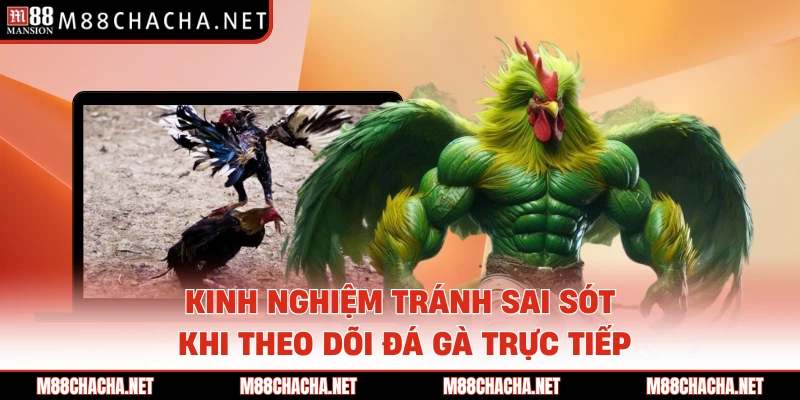 Kinh nghiệm tránh sai sót khi theo dõi đá gà trực tiếp