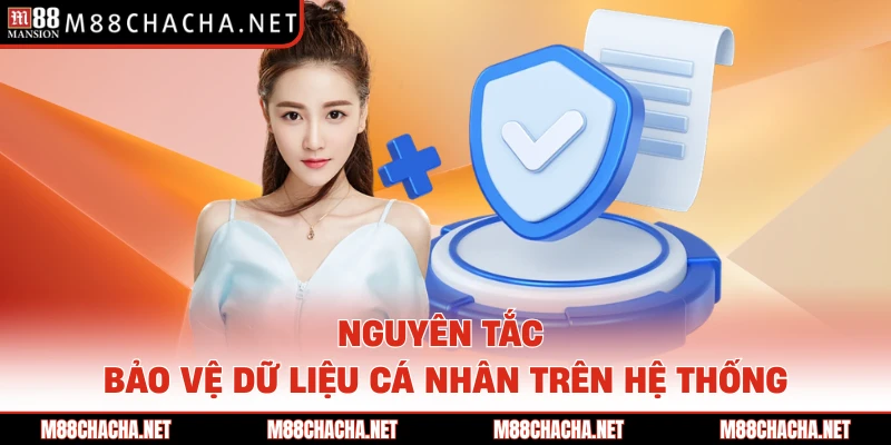 Nguyên tắc bảo vệ dữ liệu cá nhân trên hệ thống