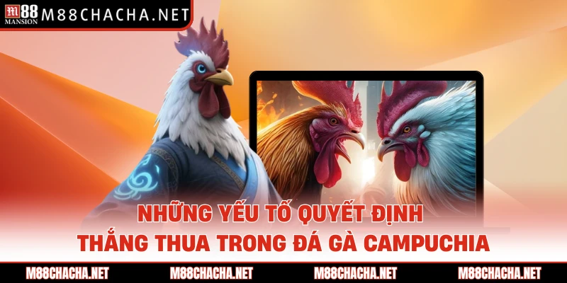 Những yếu tố quyết định thắng thua trong đá gà Campuchia