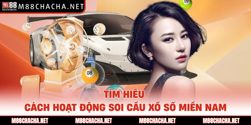 Tìm hiểu cách hoạt động soi cầu xổ số miền nam