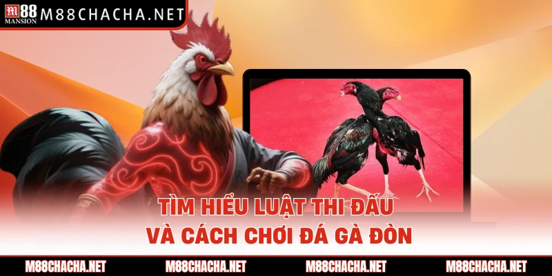 Tìm hiểu luật thi đấu và cách chơi đá gà đòn 