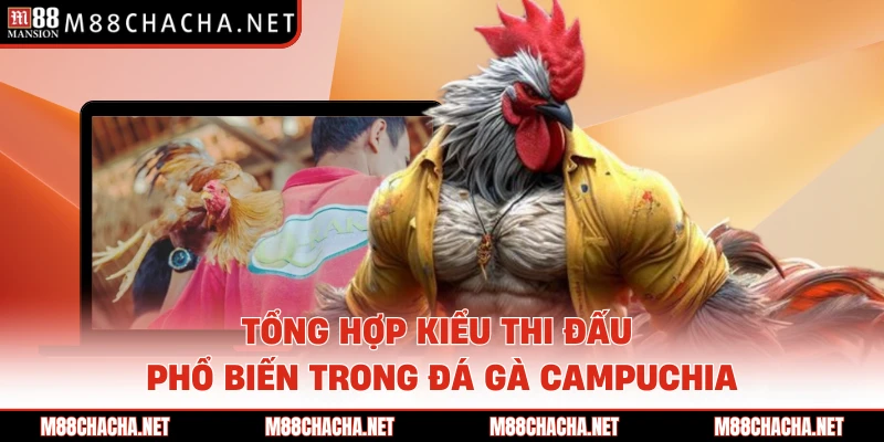 Tổng hợp kiểu thi đấu phổ biến trong đá gà Campuchia 